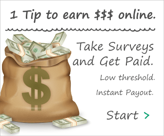 Take Surveys
